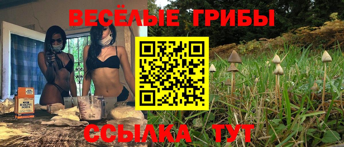 Галлюциногенные грибы Magic Shrooms Скопин
